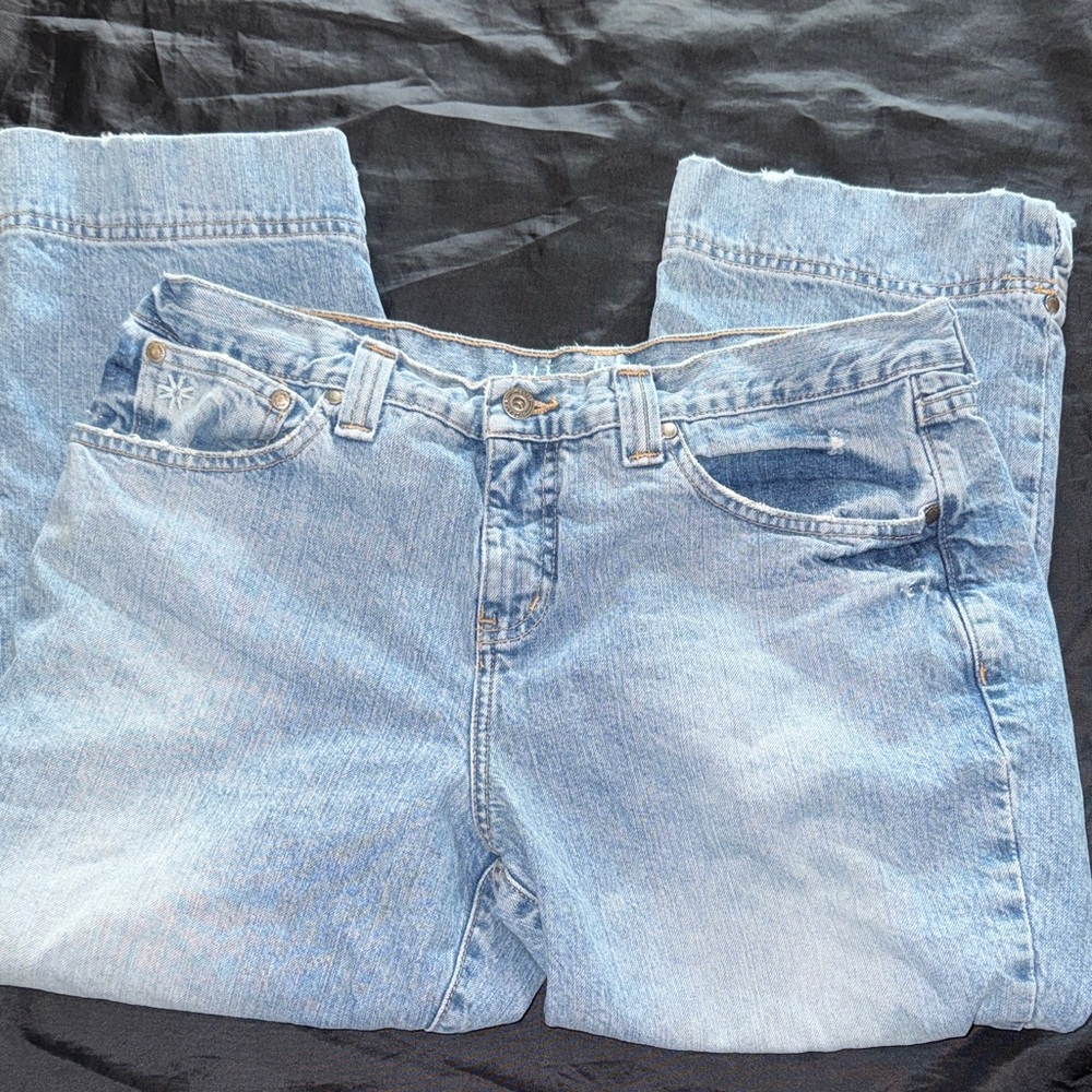 Vintage Hydraulic Light Wash Ankle Crop Jeans